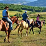 Horse riding — Gudauri Loft